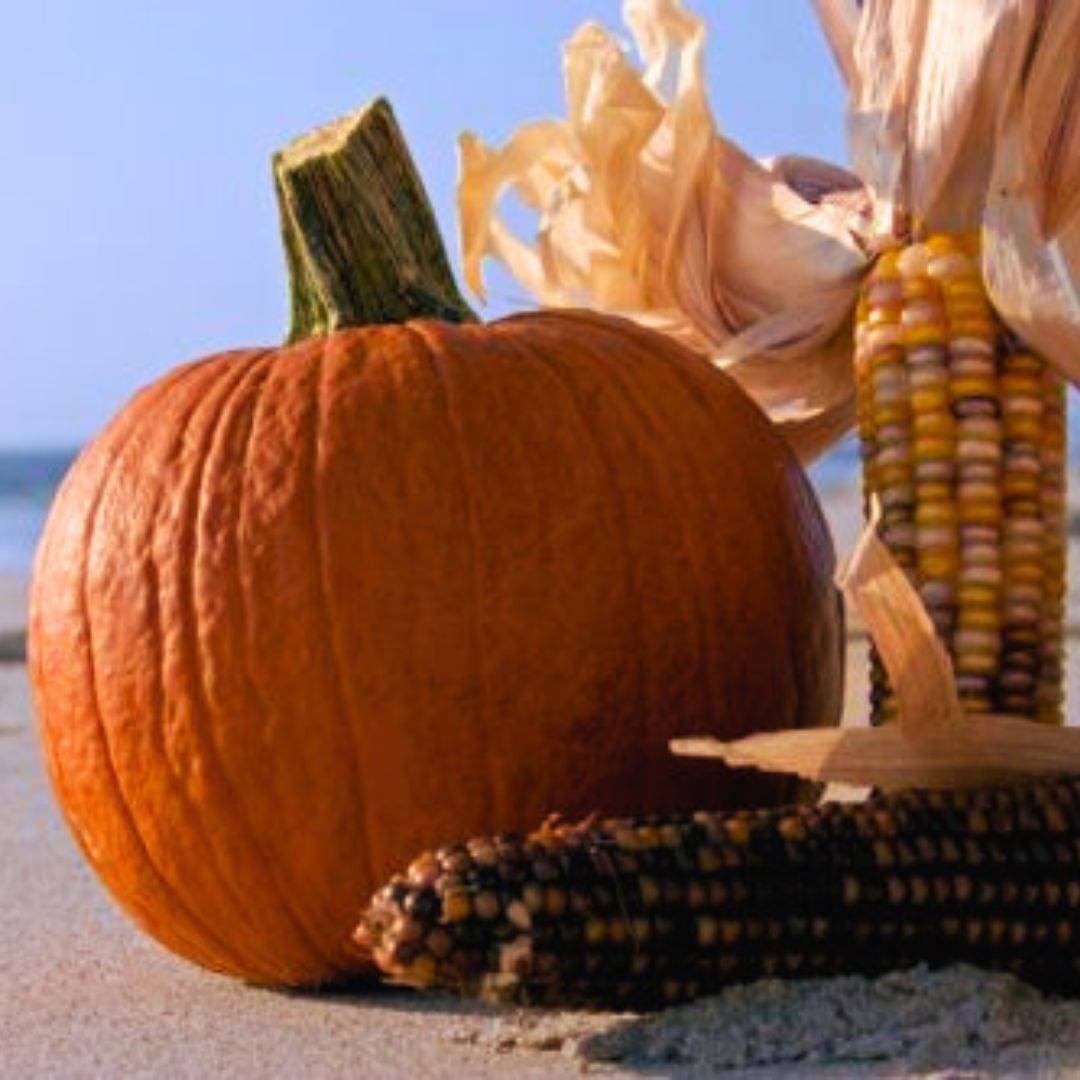 Carve Out Time for Fall Fun on the OBX Sun Realty
